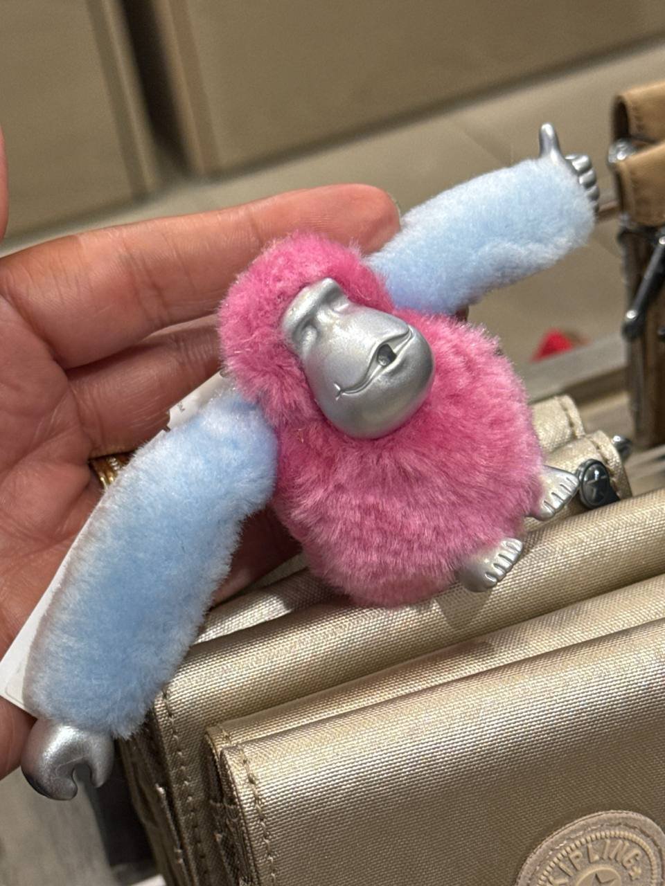 macaquinho M