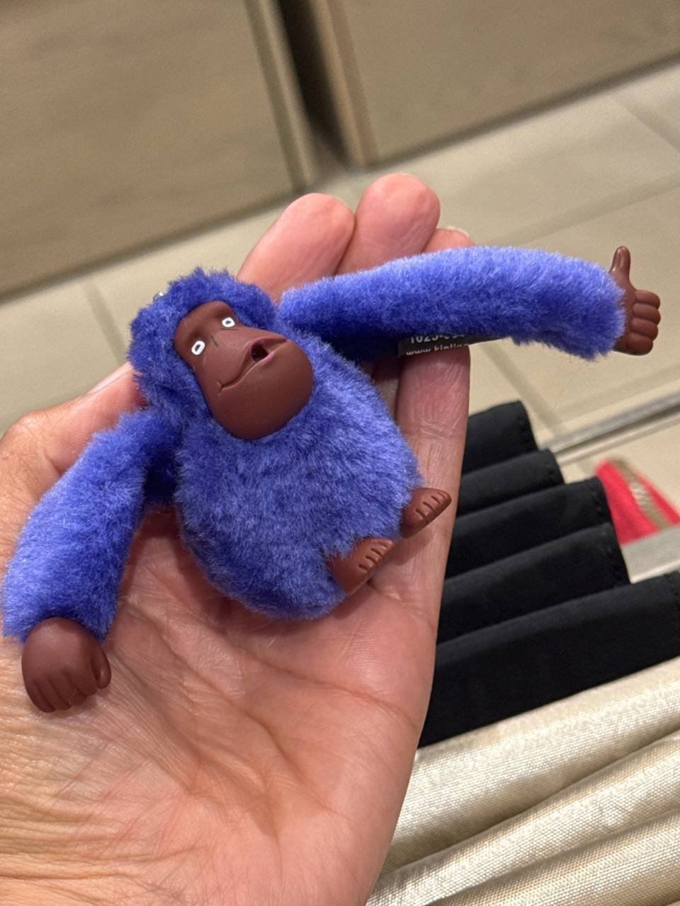 macaquinho M