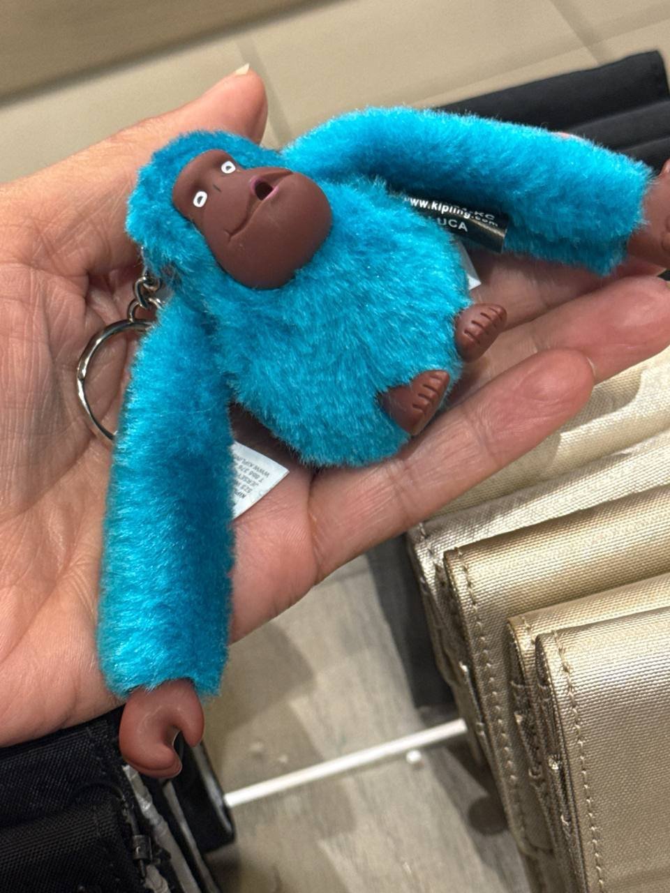 macaquinho M