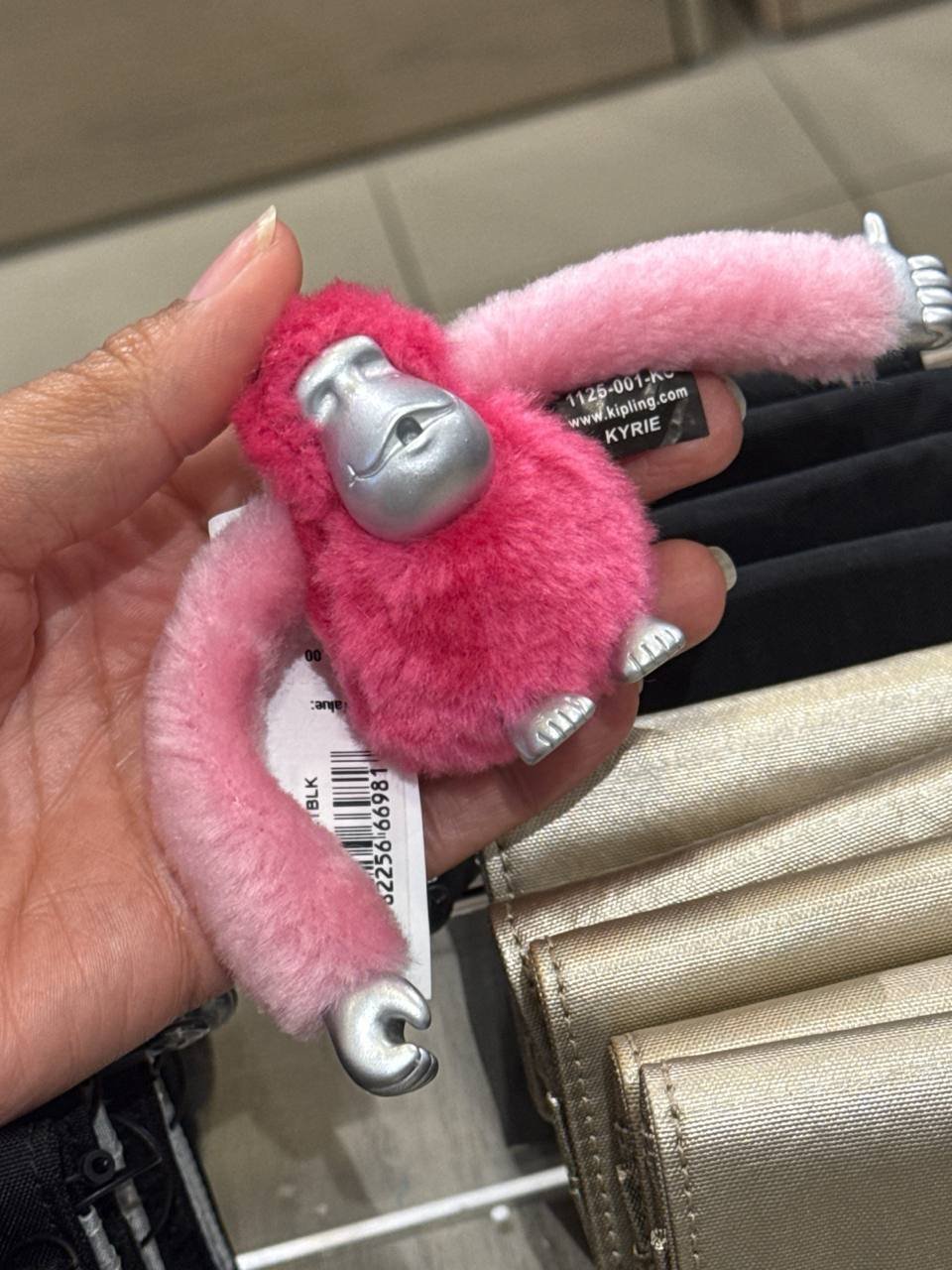 macaquinho M