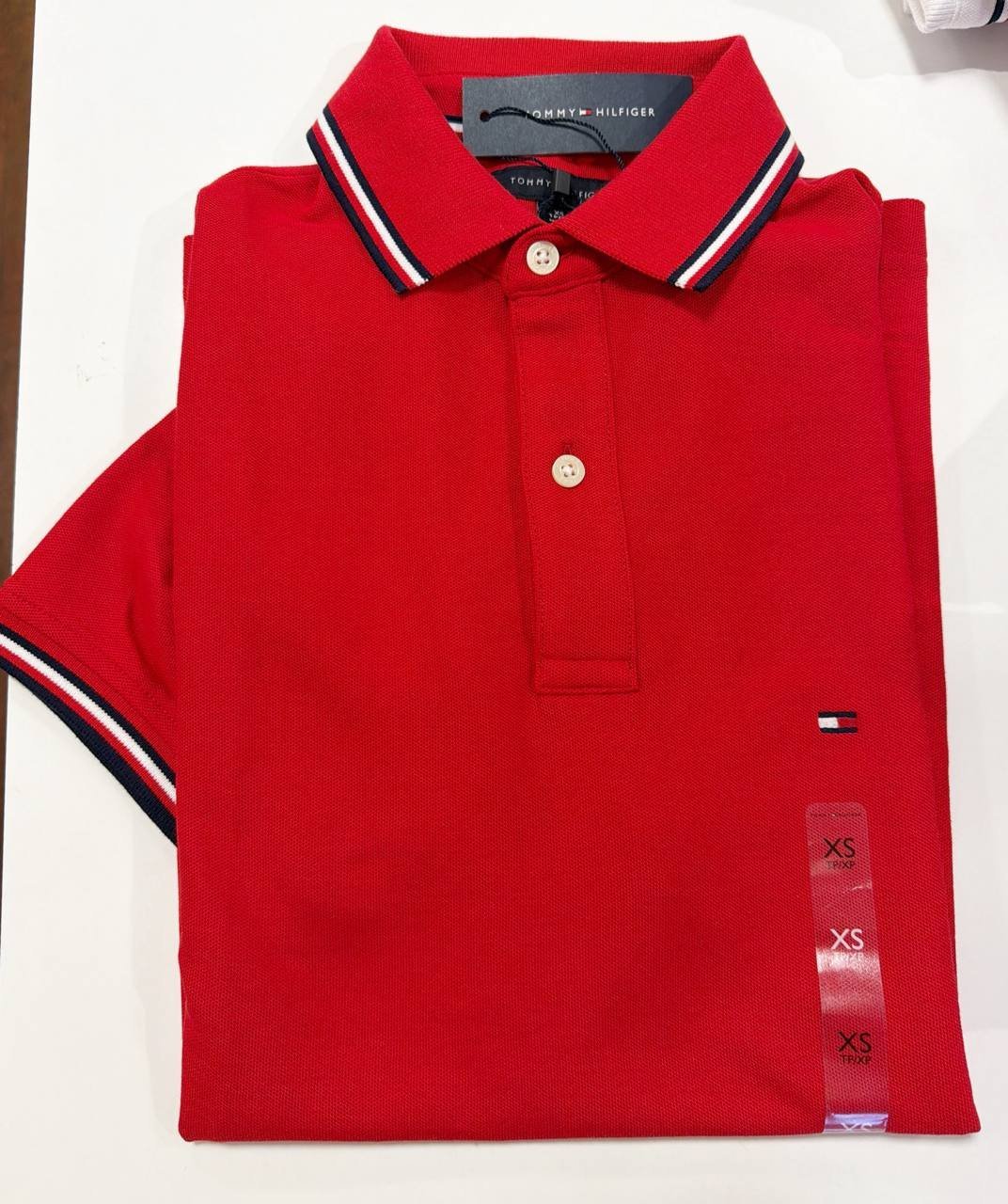 Polo Regular Fit