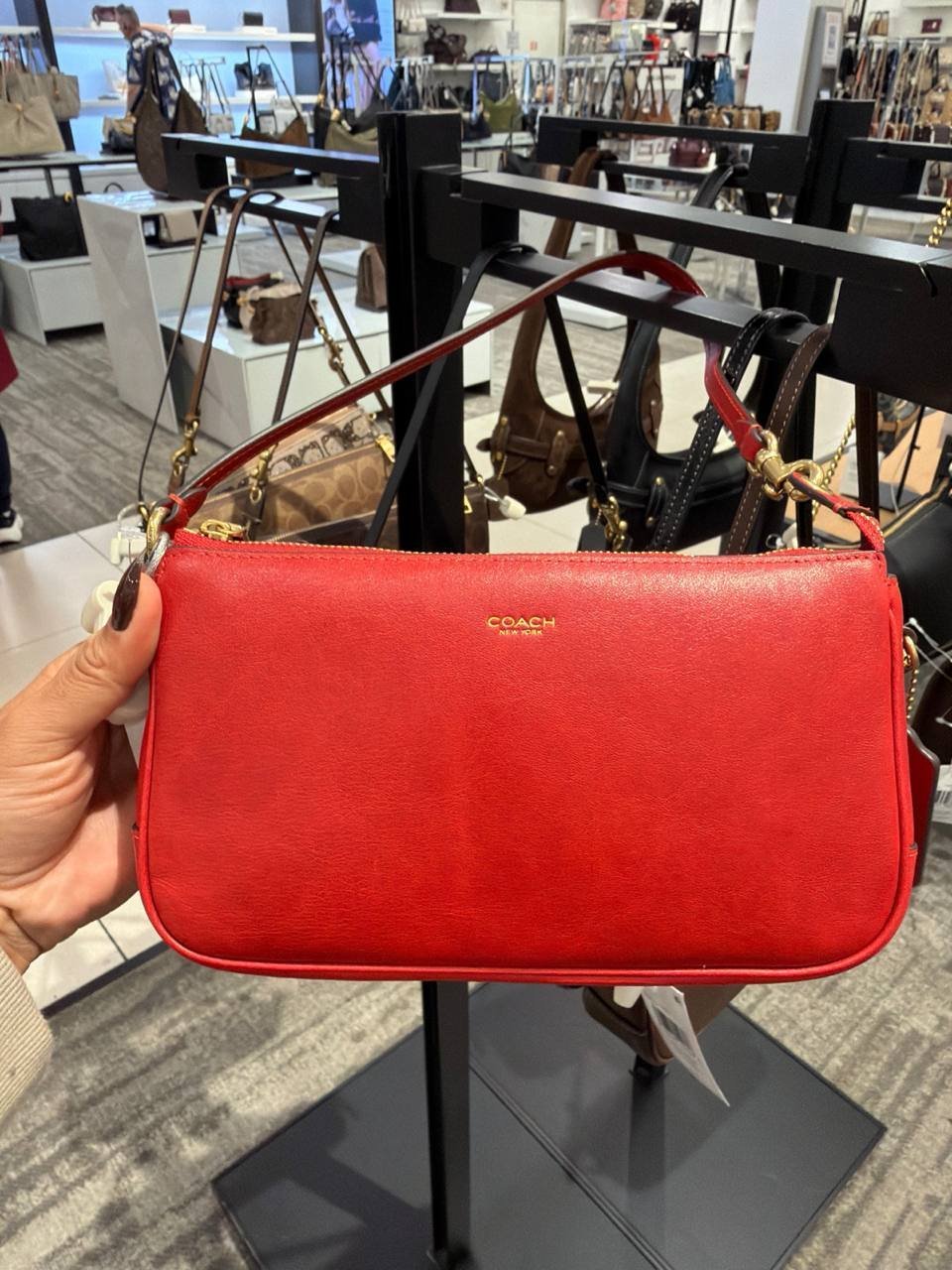BOLSA Coach Pequena