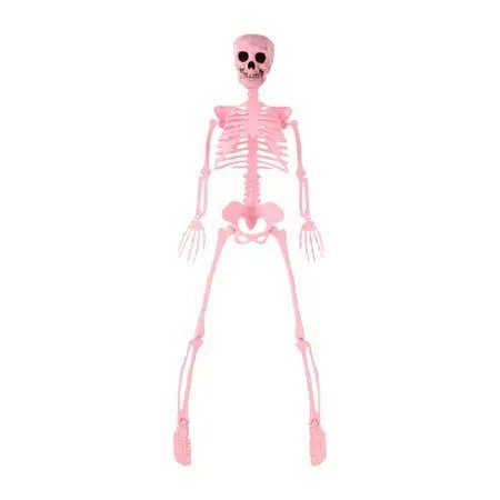 Posable Skeleton
