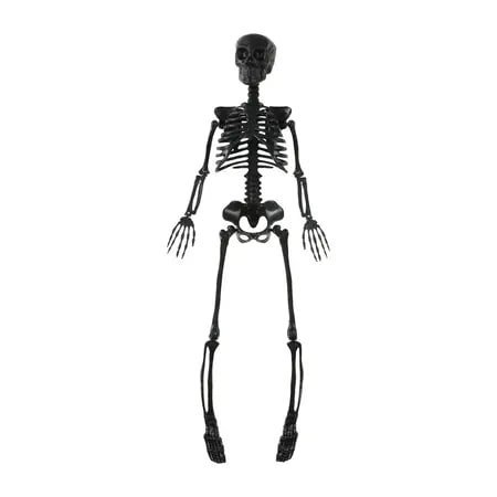 Posable Skeleton