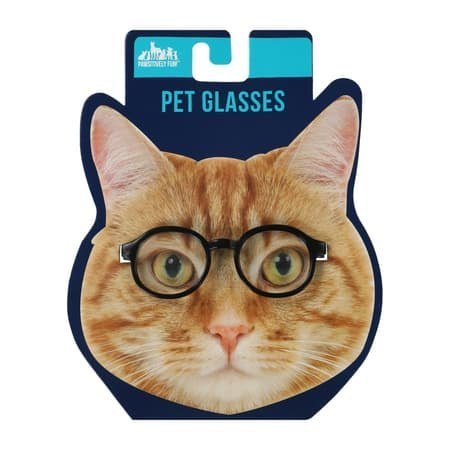 Pet Glasses