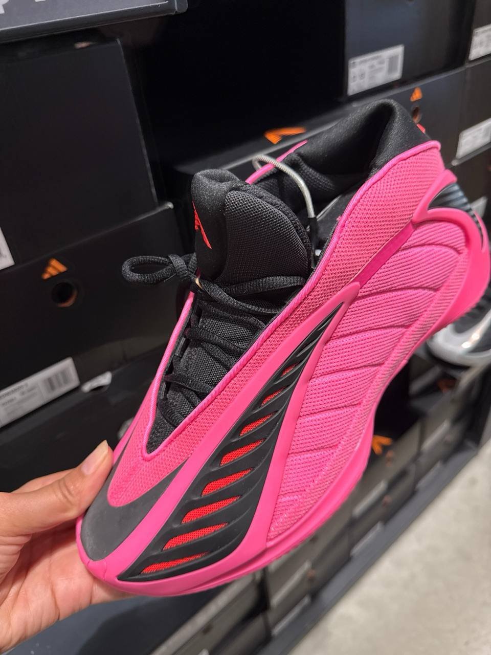 Tenis  número Americano