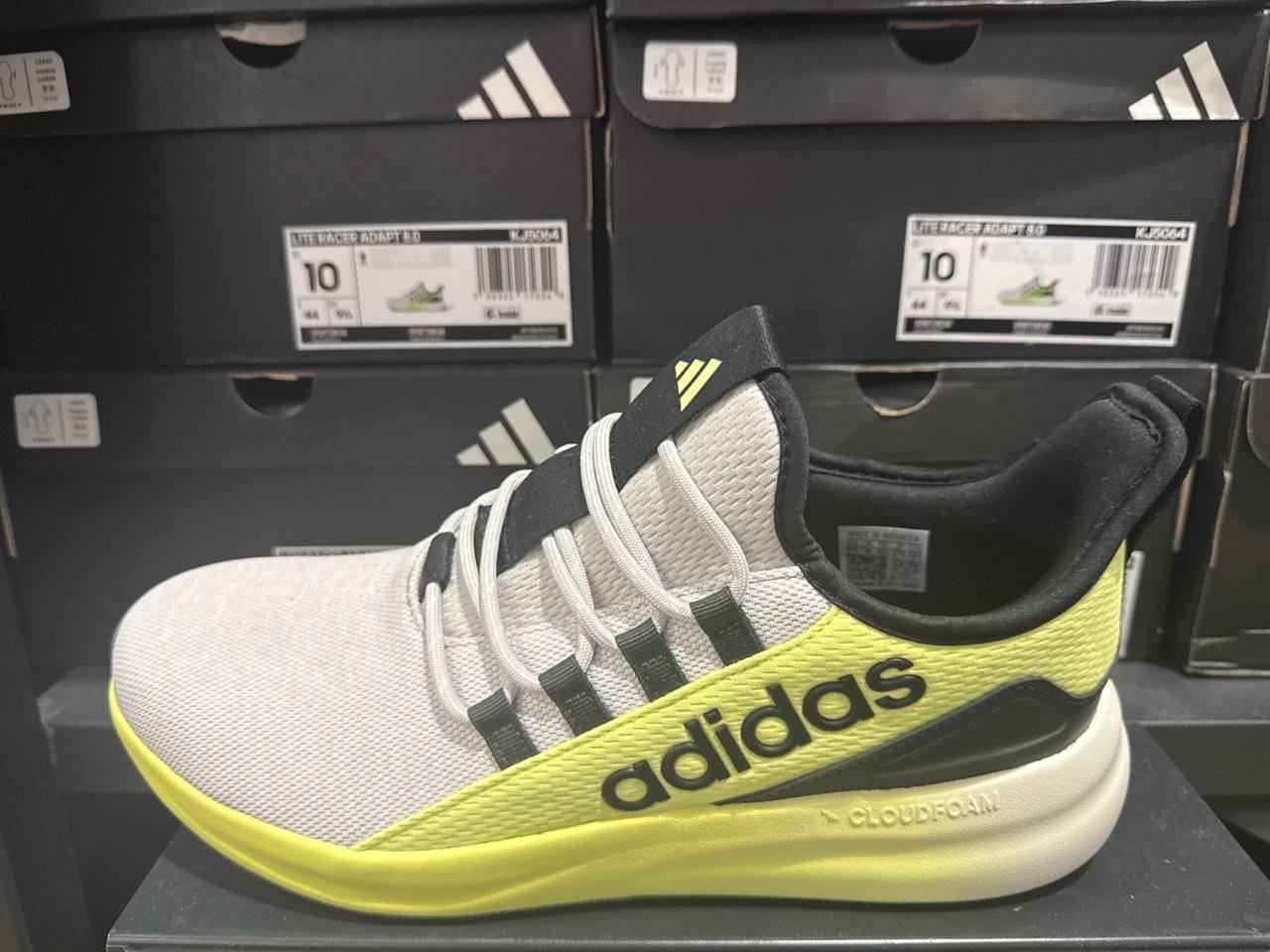 Tenis  número Americano