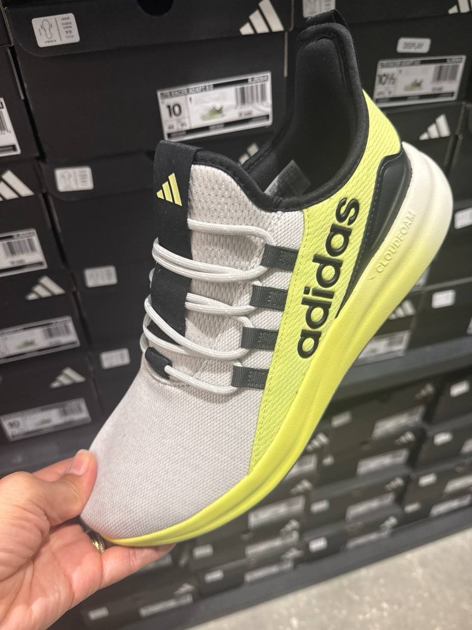 Tenis  número Americano