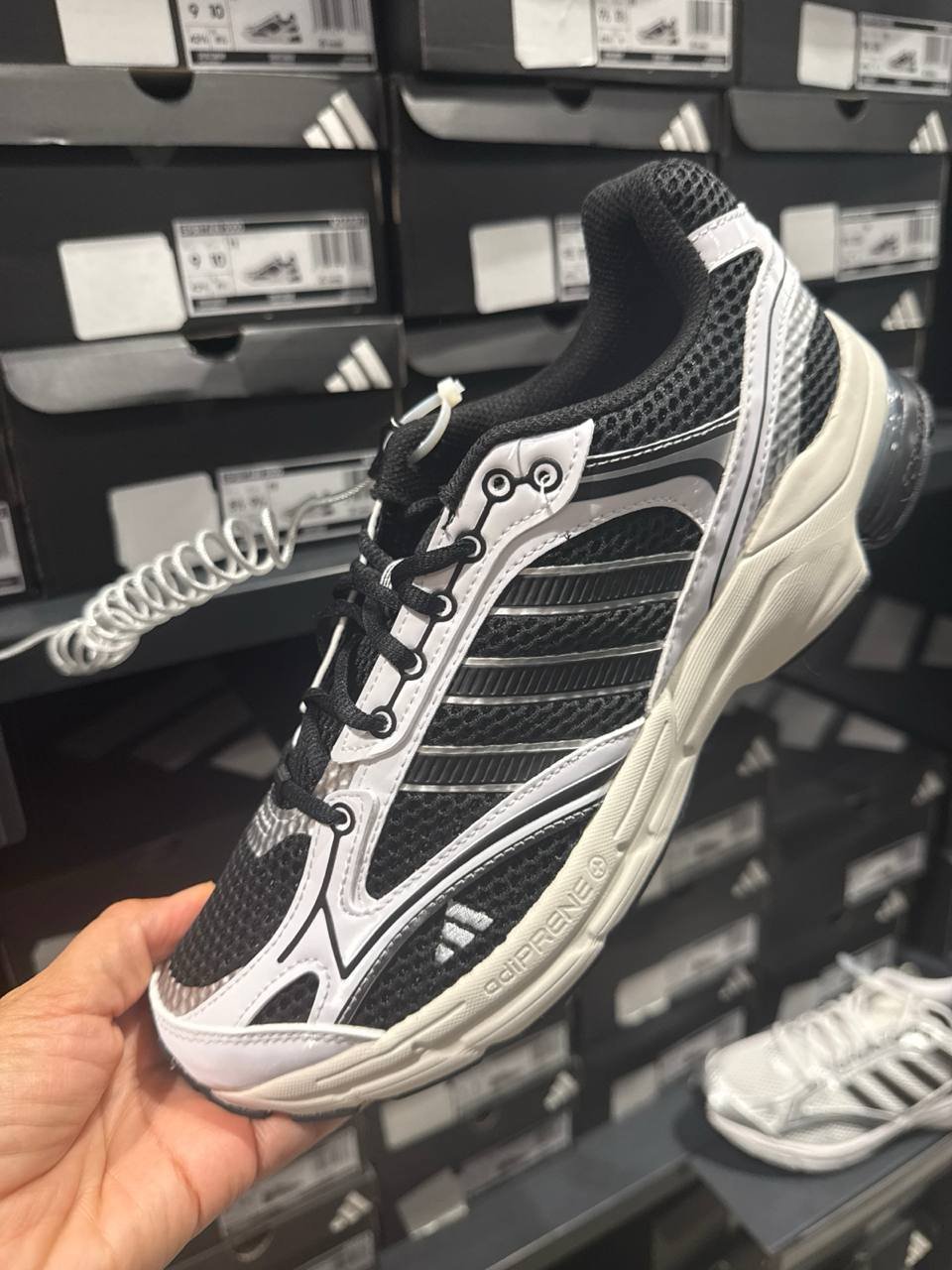 Tenis  número Americano