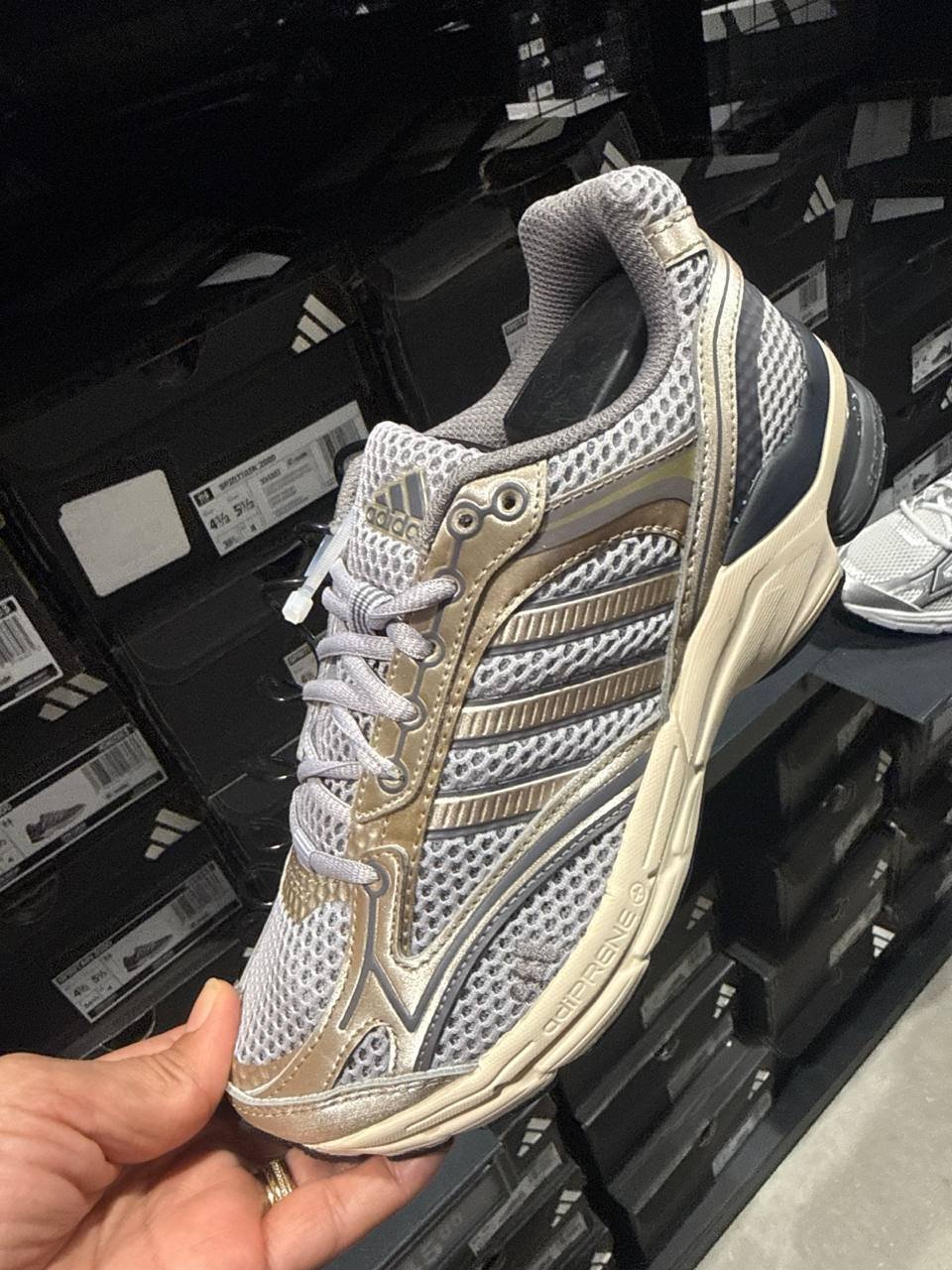Tenis  número Americano