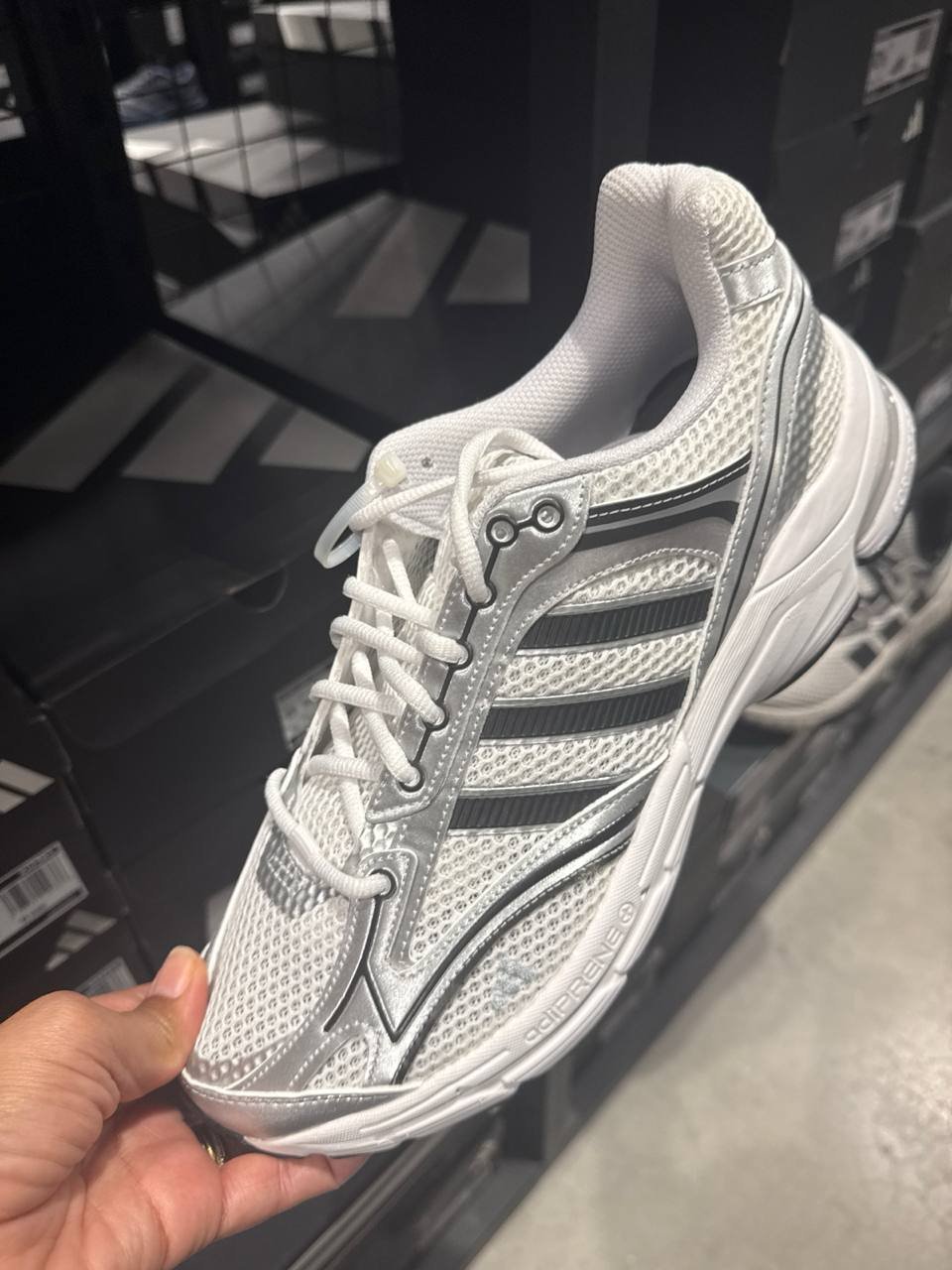 Tenis  número Americano