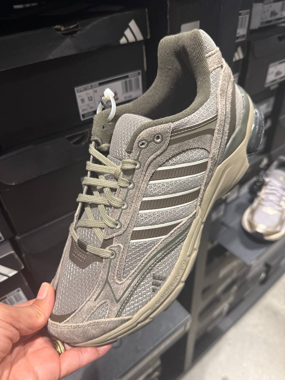 Tenis  número Americano