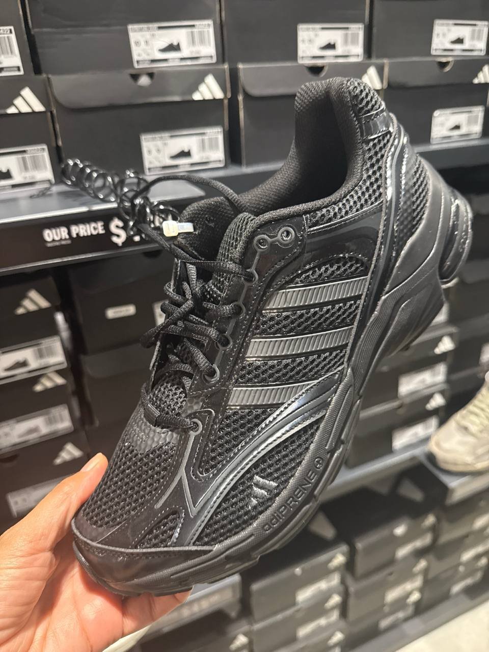 Tenis  número Americano