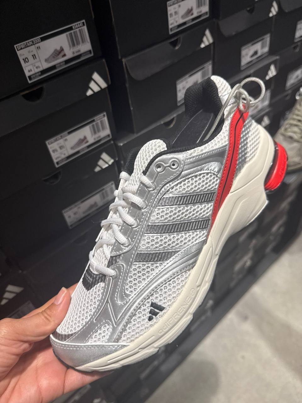 Tenis  número Americano