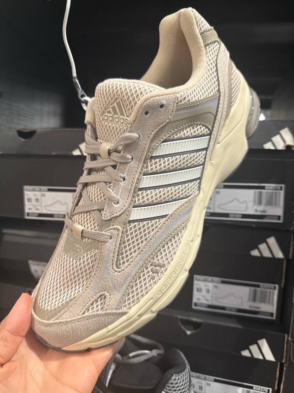 Tenis  número Americano
