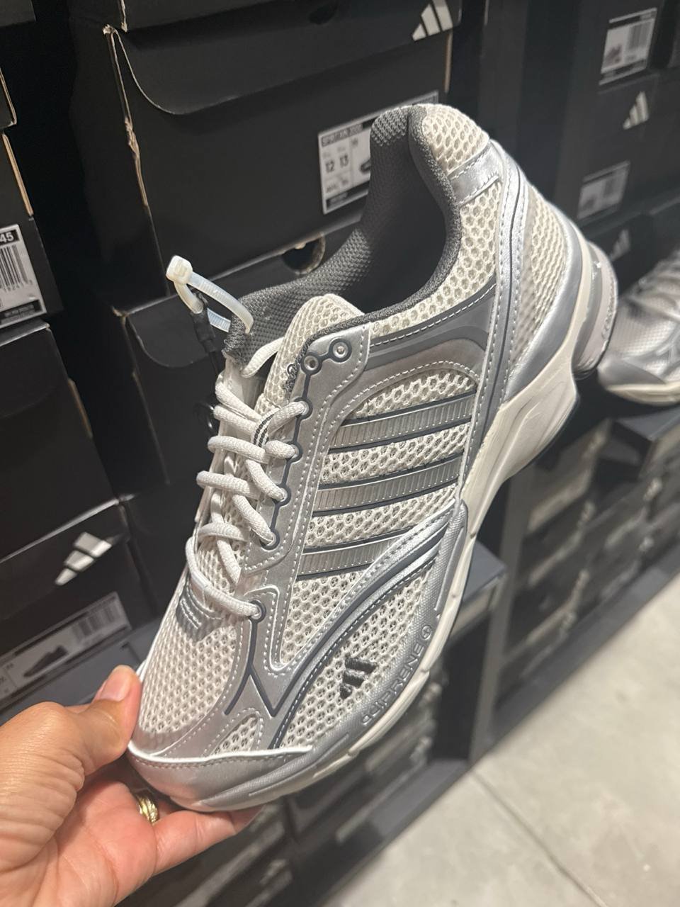 Tenis  número Americano