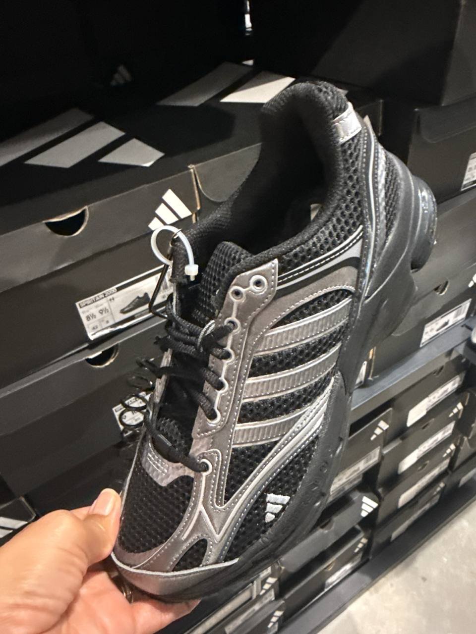 Tenis  número Americano