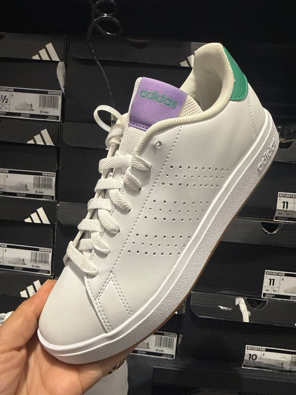 Tenis  número Americano