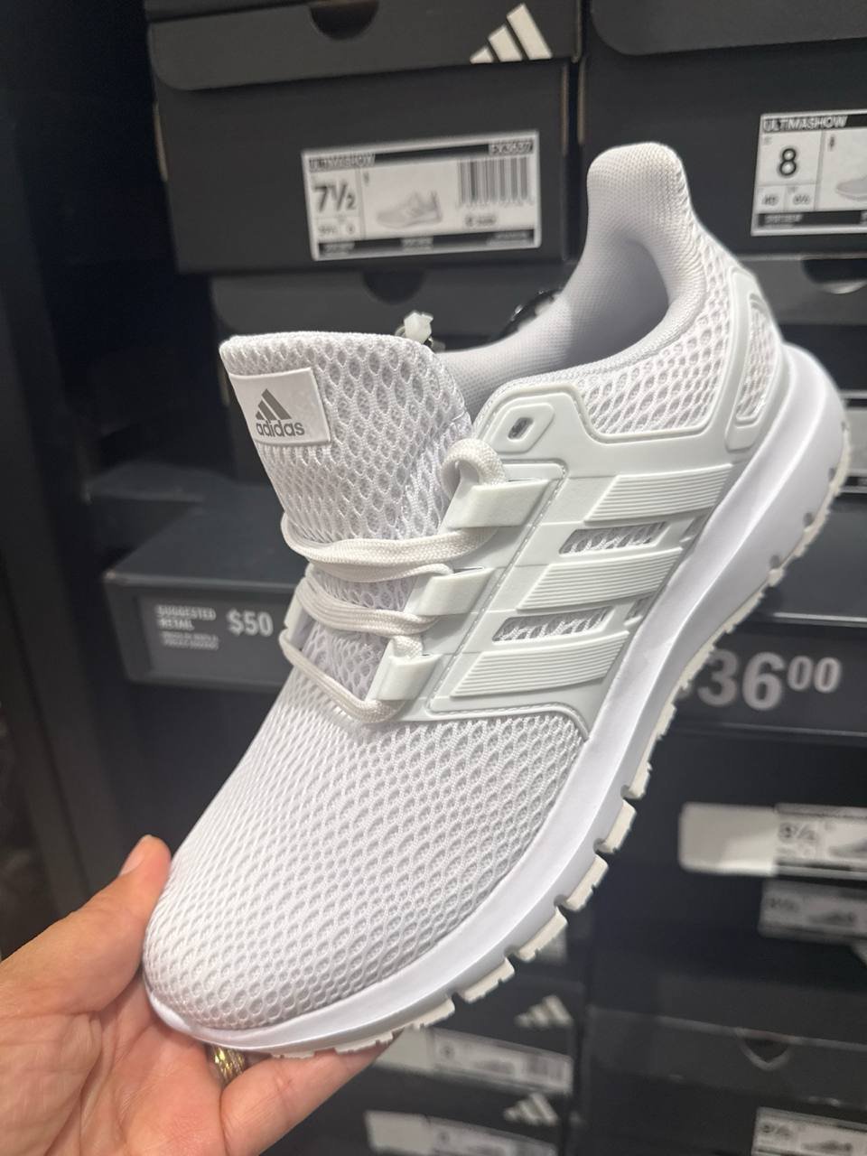 Tenis  número Americano