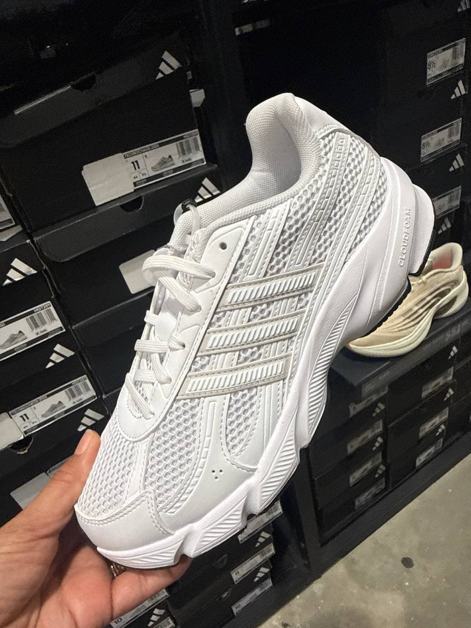 Tenis  número Americano