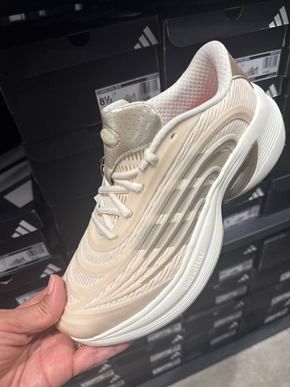 Tenis  número Americano