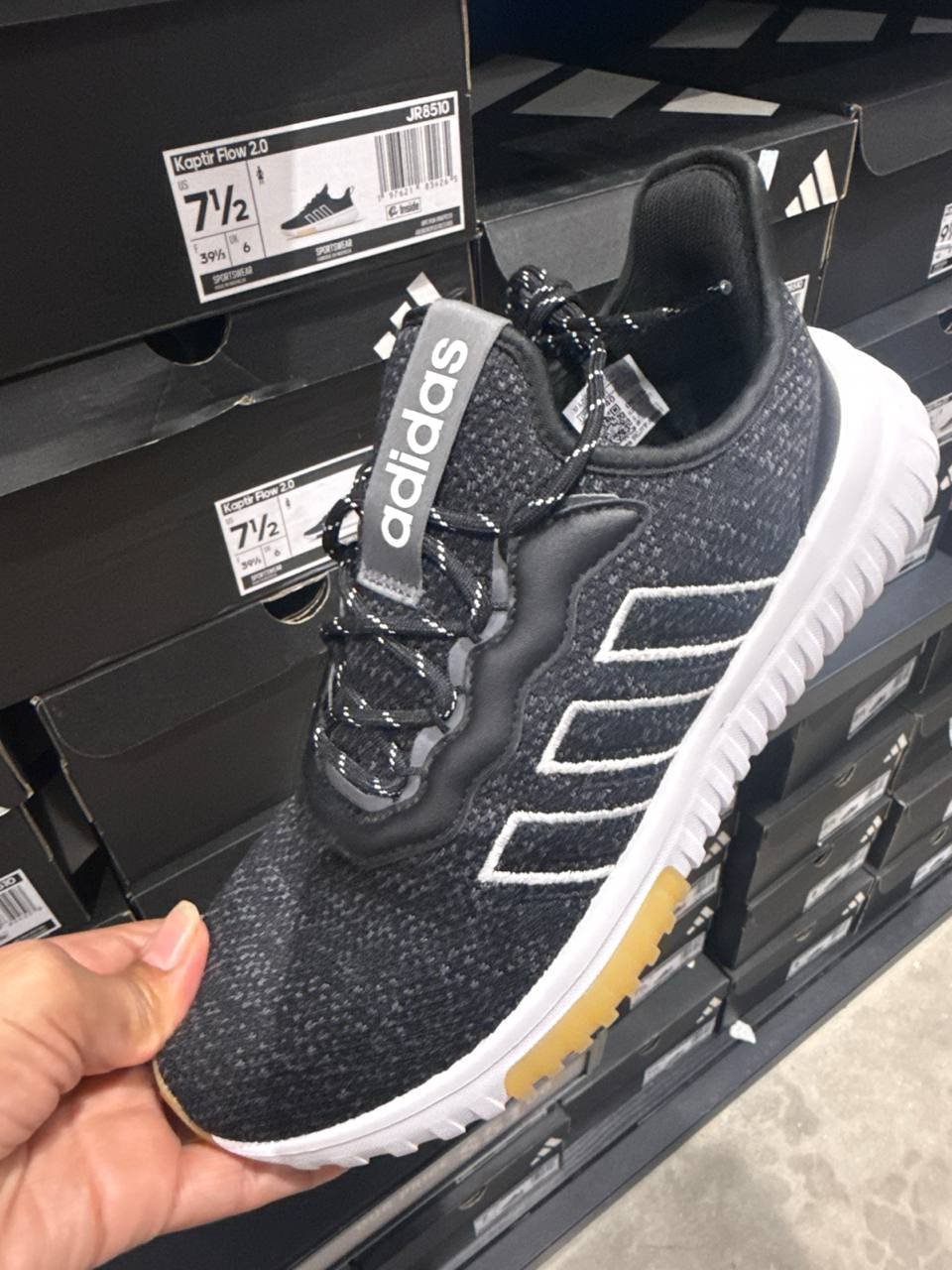 Tenis  número Americano
