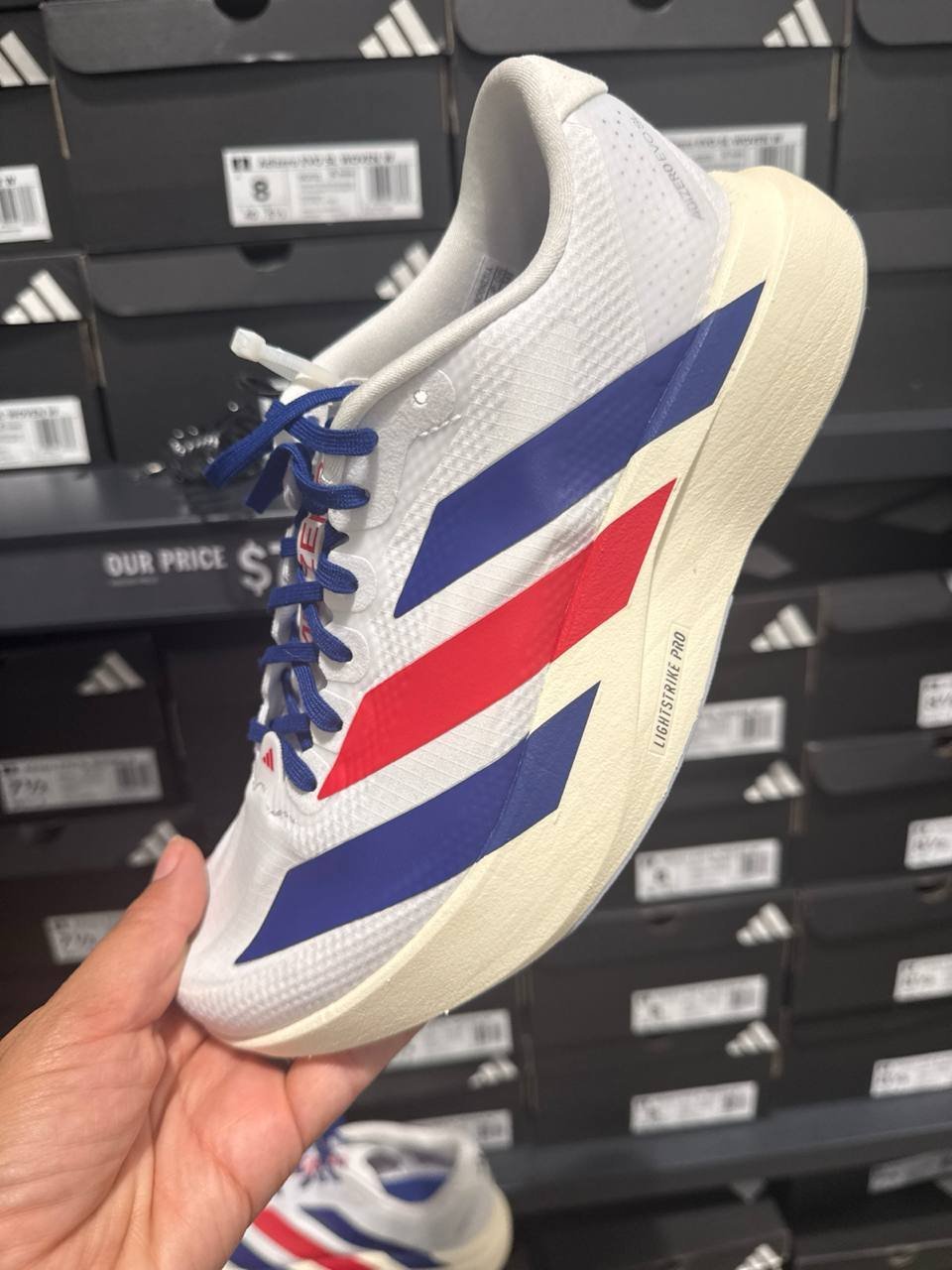 Tenis  número Americano