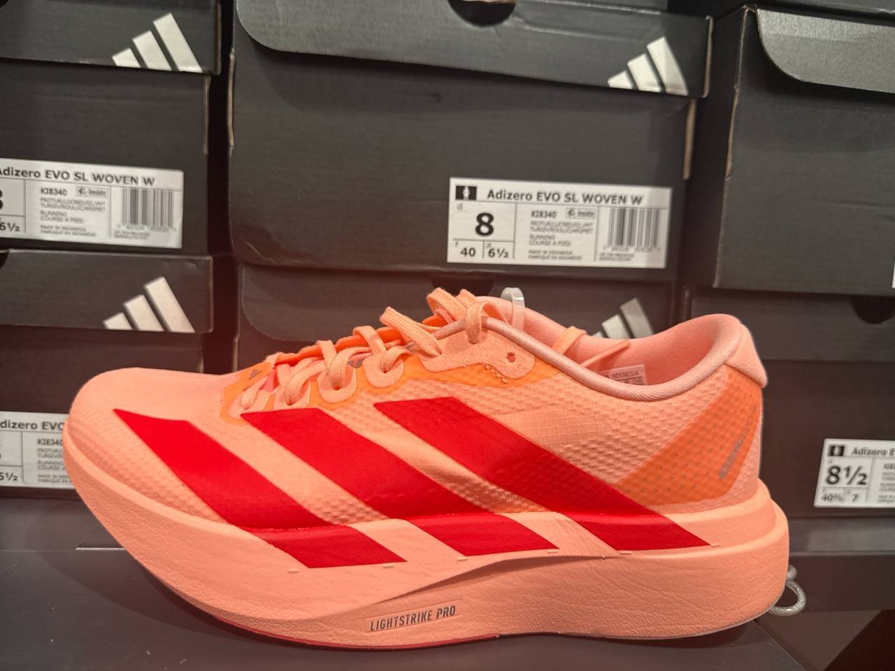Tenis  número Americano