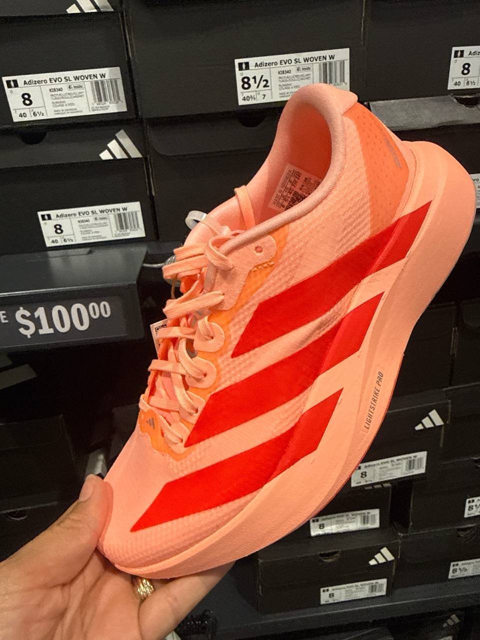 Tenis  número Americano