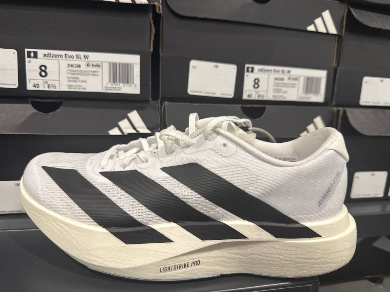 Tenis  número Americano
