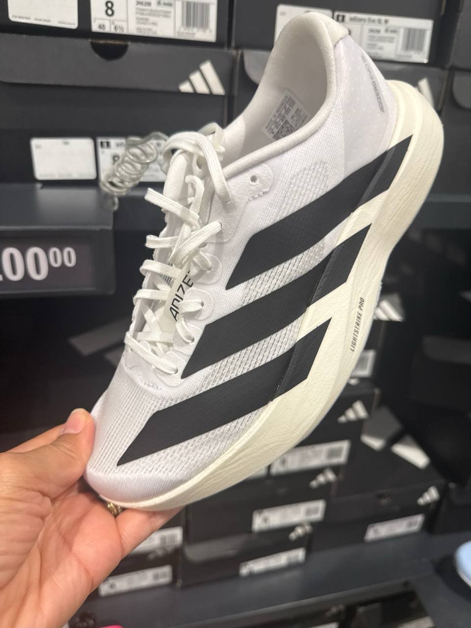 Tenis  número Americano