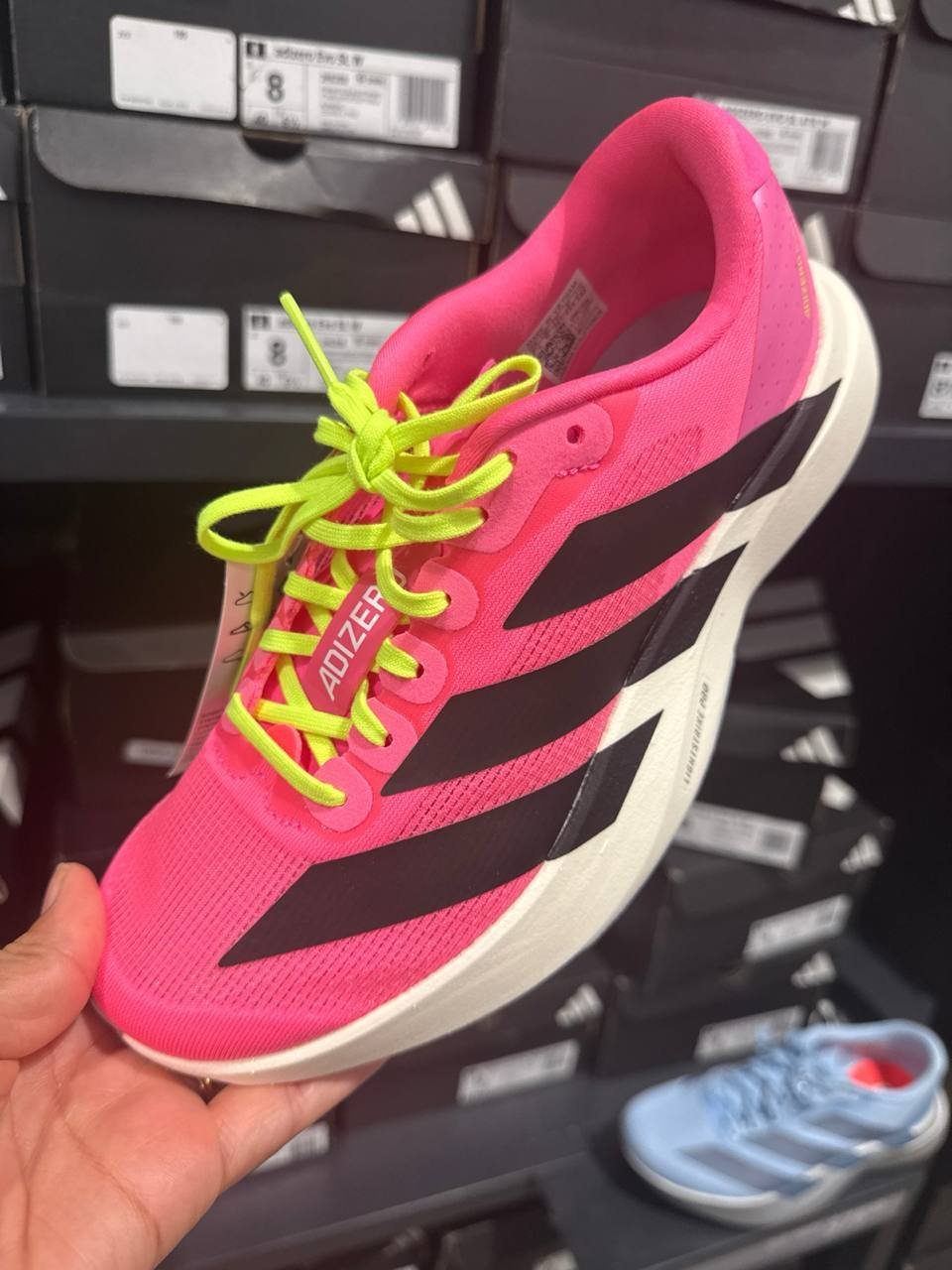 Tenis  número Americano