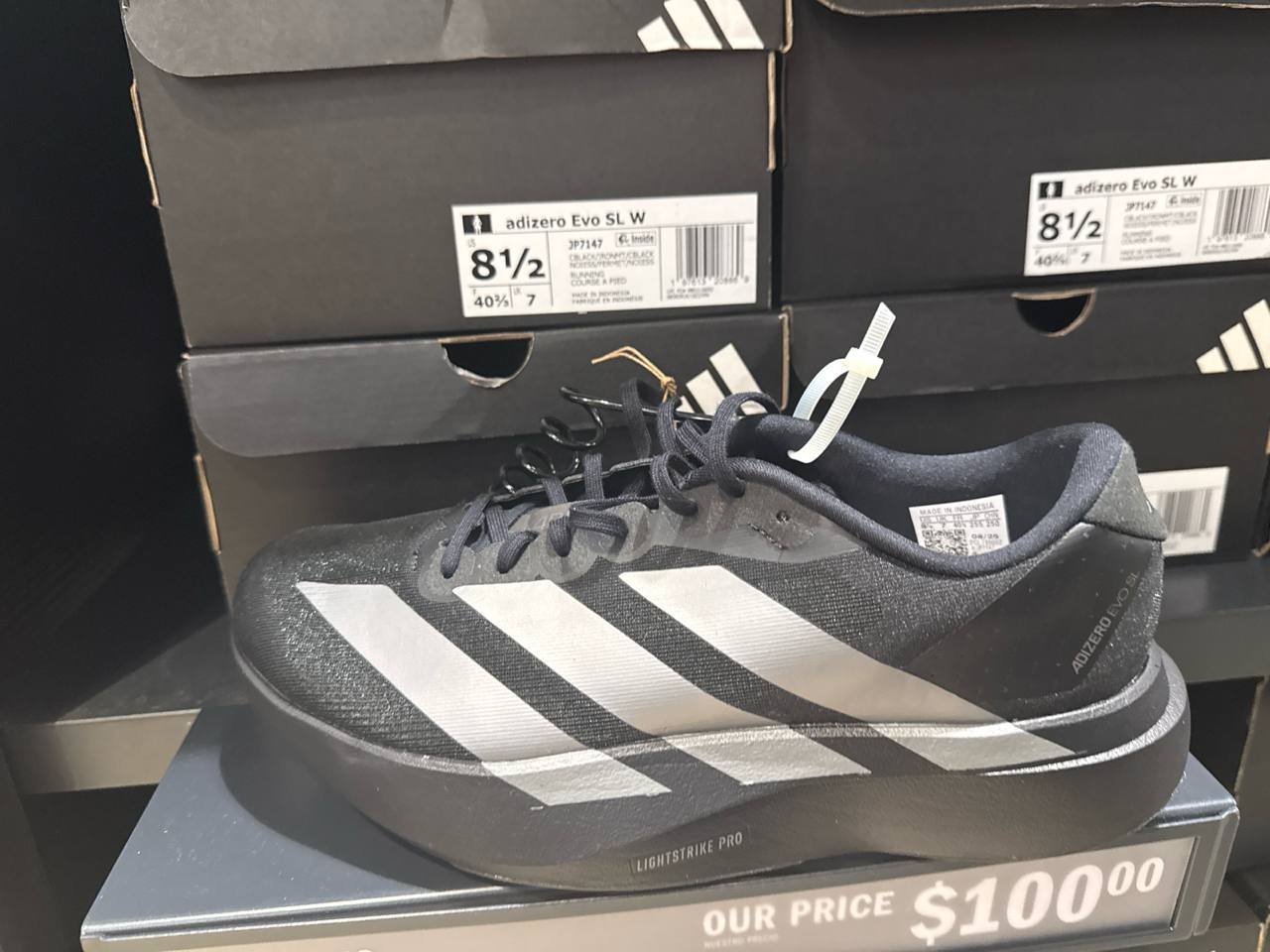 Tenis  número Americano