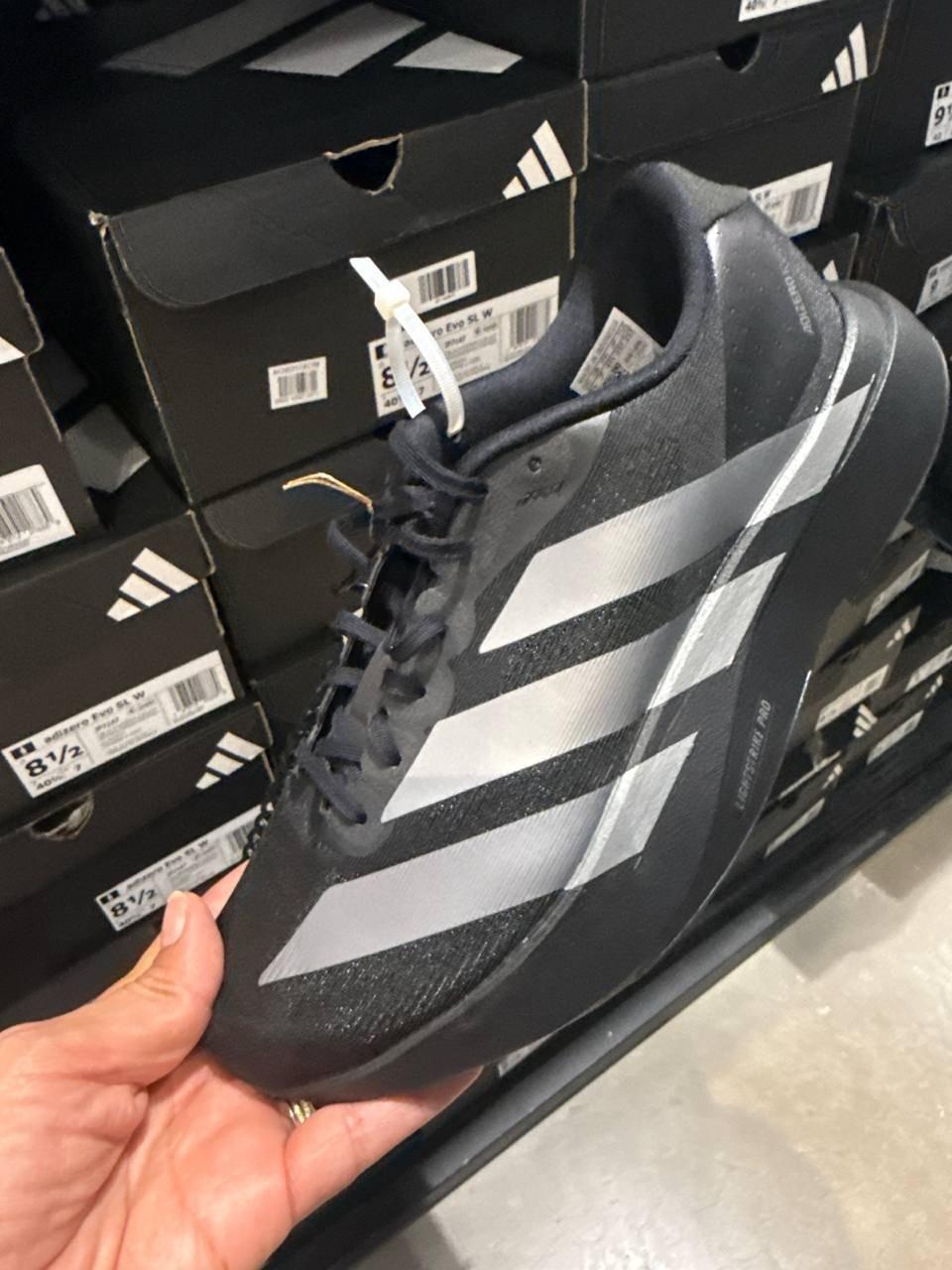 Tenis  número Americano
