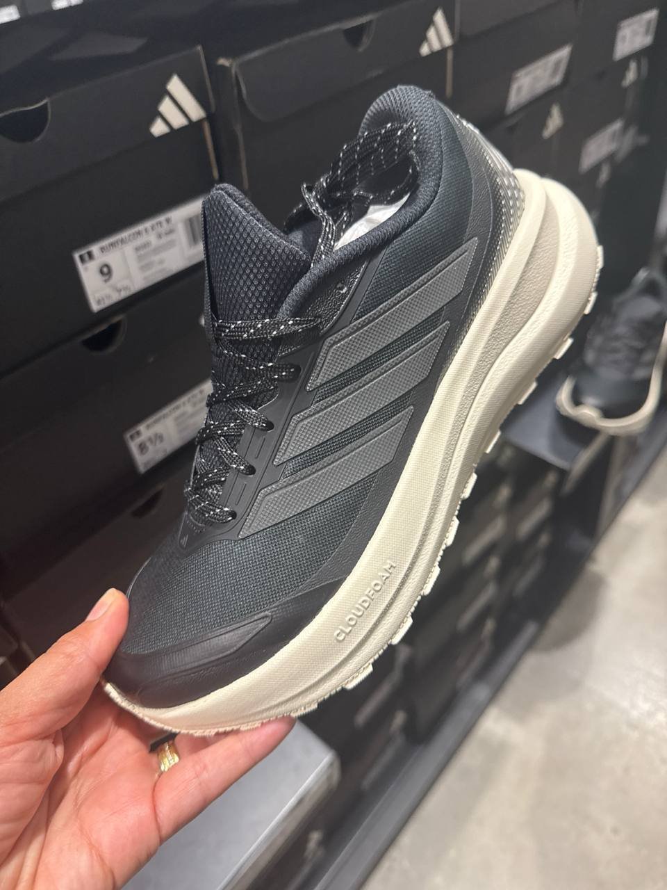 Tenis  número Americano