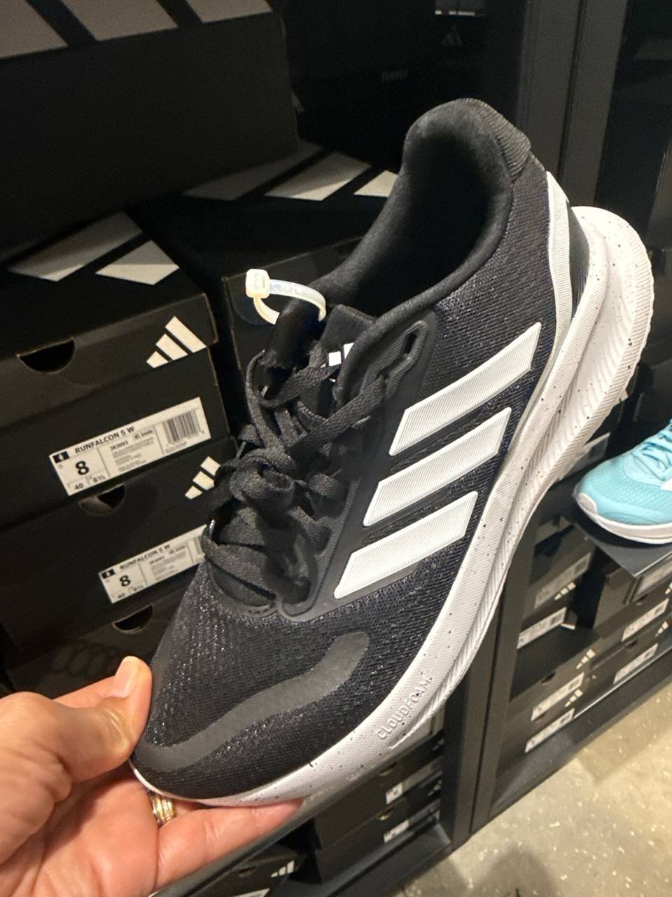 Tenis  número Americano
