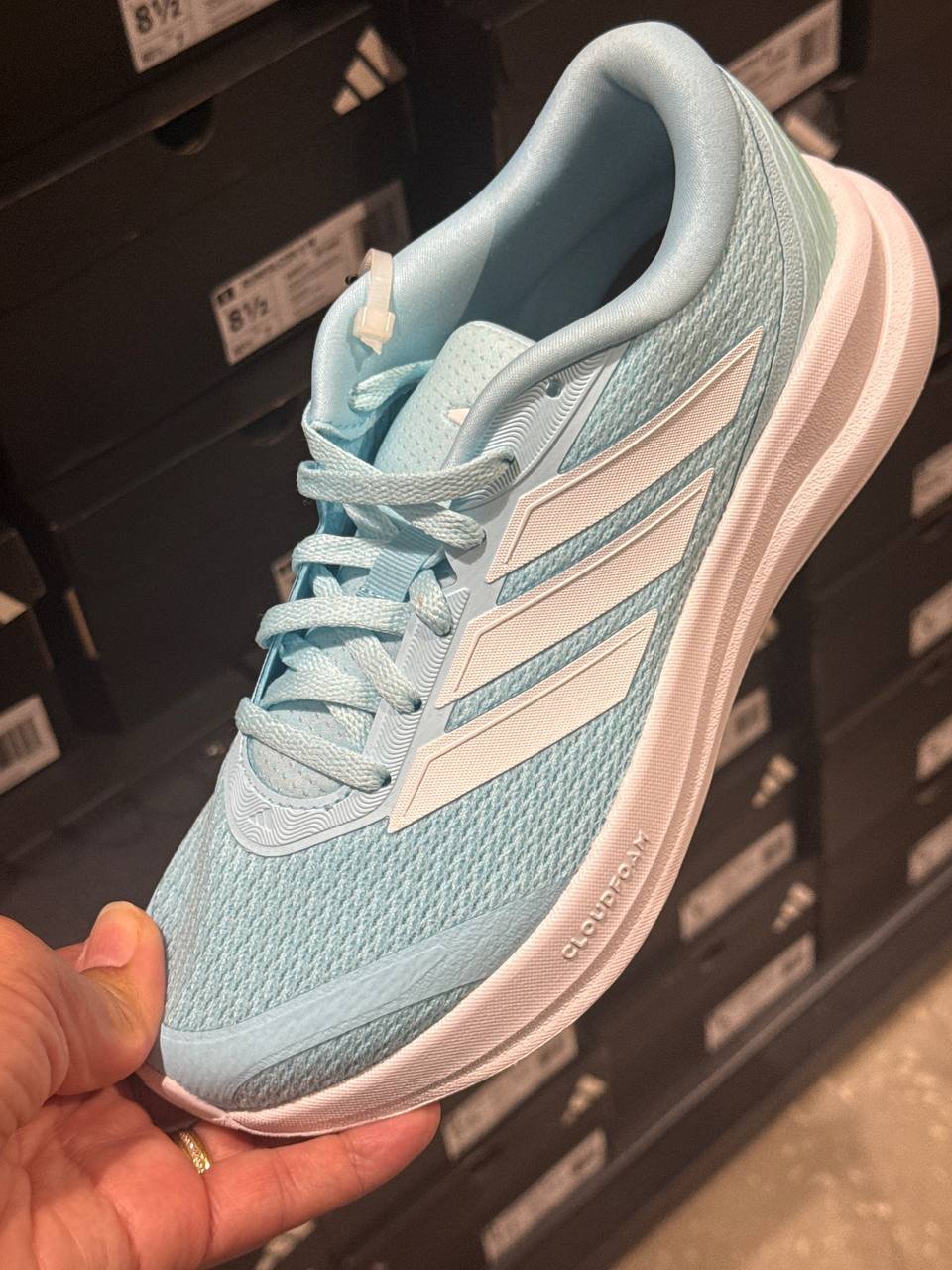 Tenis  número Americano