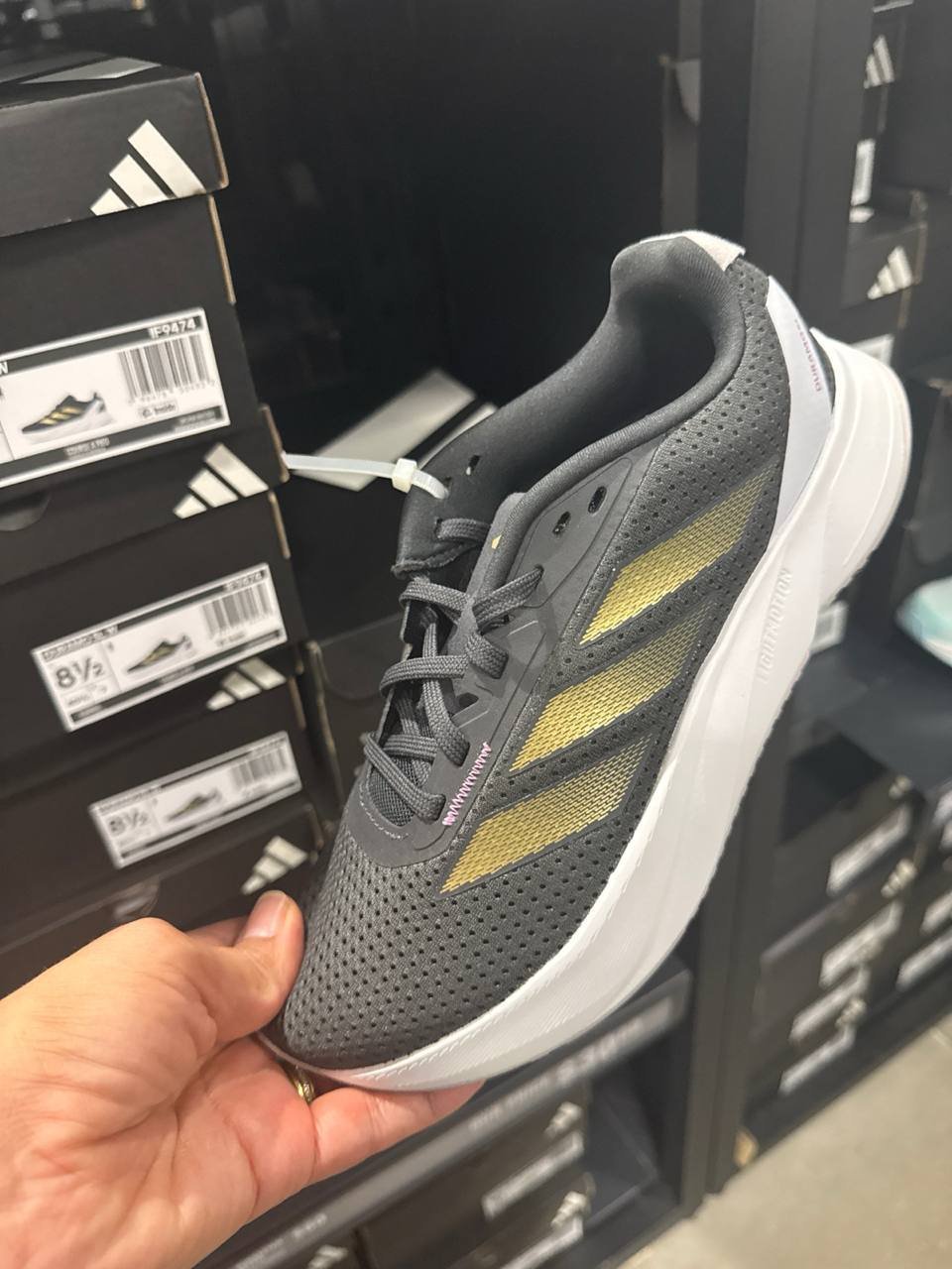 Tenis  número Americano