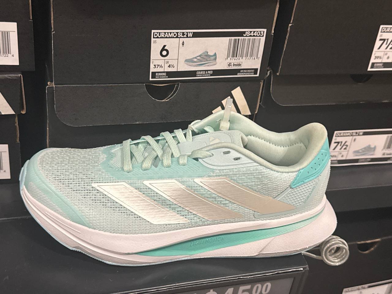 Tenis  número Americano
