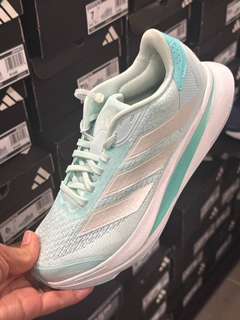 Tenis  número Americano