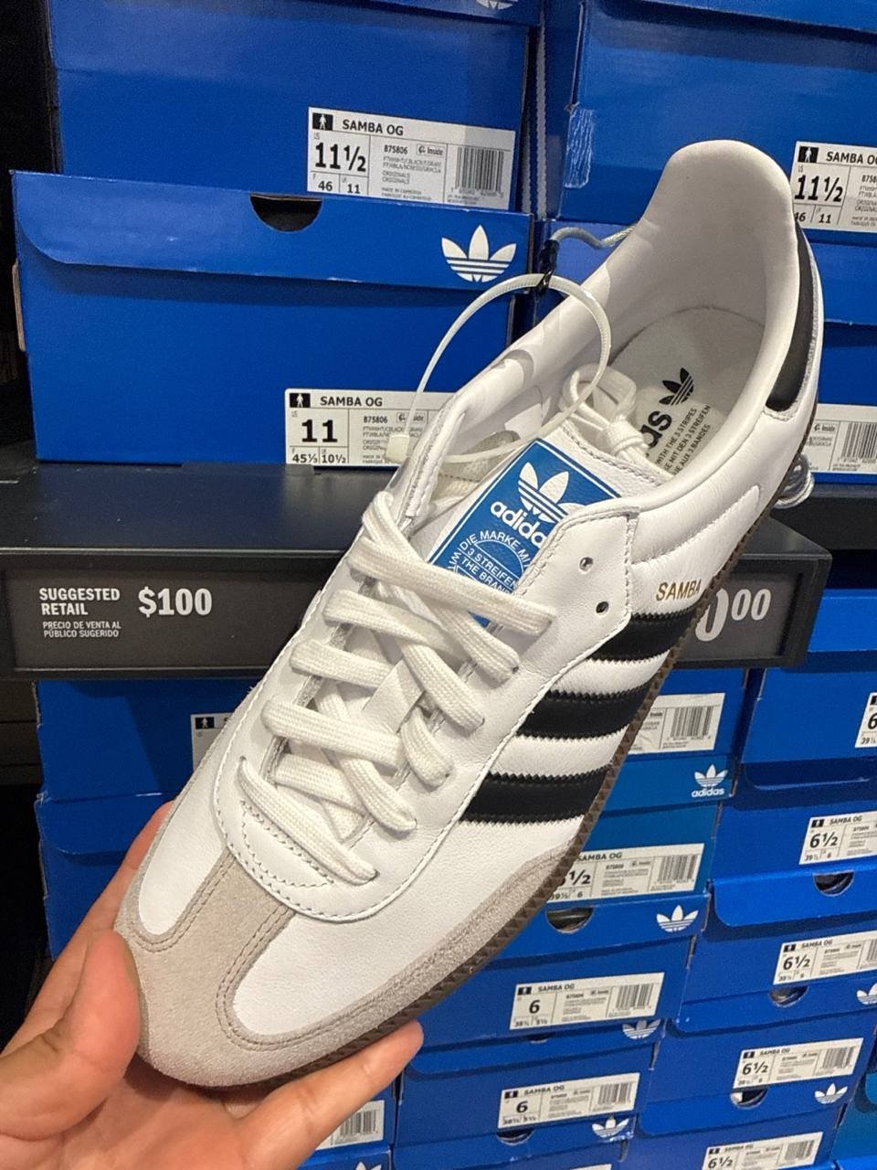 Tenis  número Americano