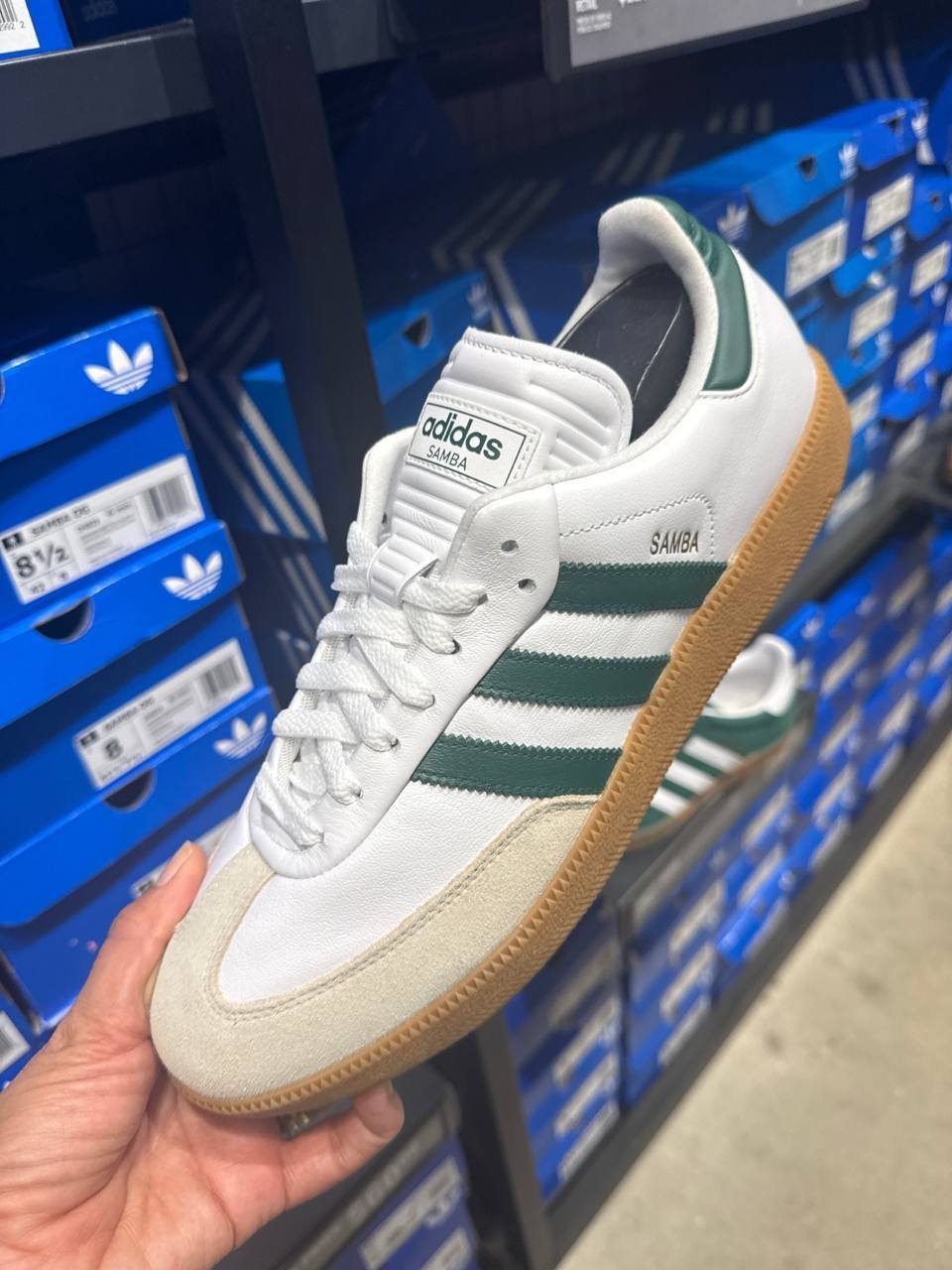 Tenis  número Americano