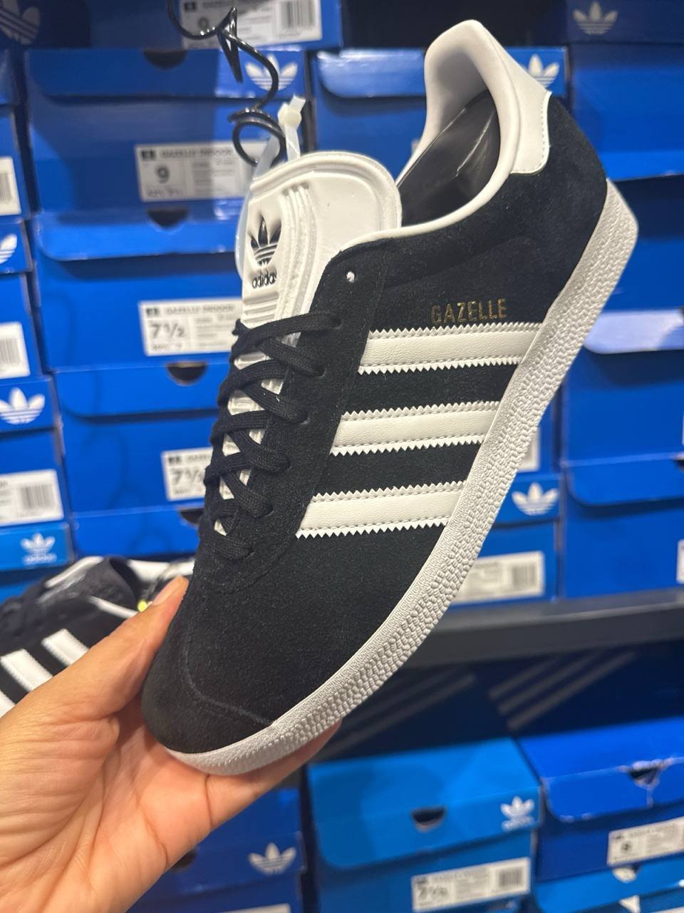 Tenis  número Americano