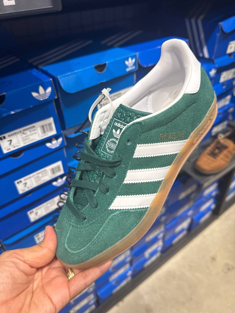Tenis  número Americano