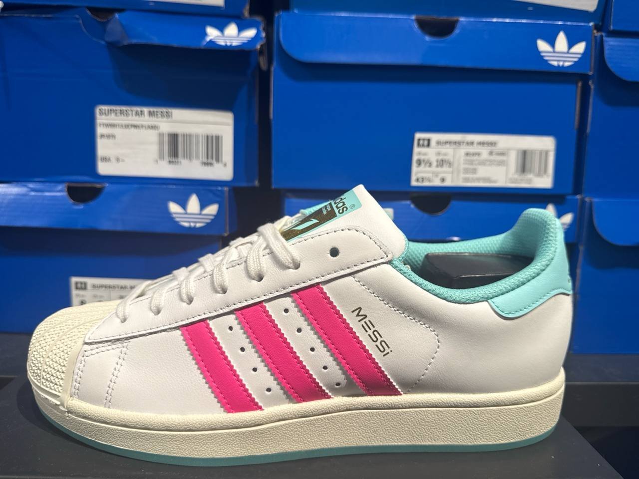 Tenis  número Americano
