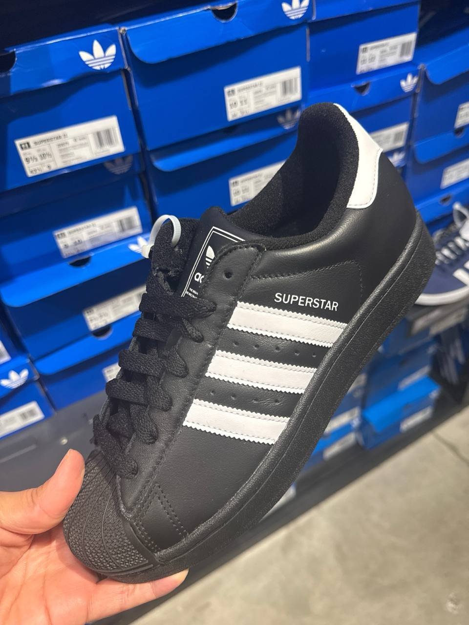 Tenis  número Americano