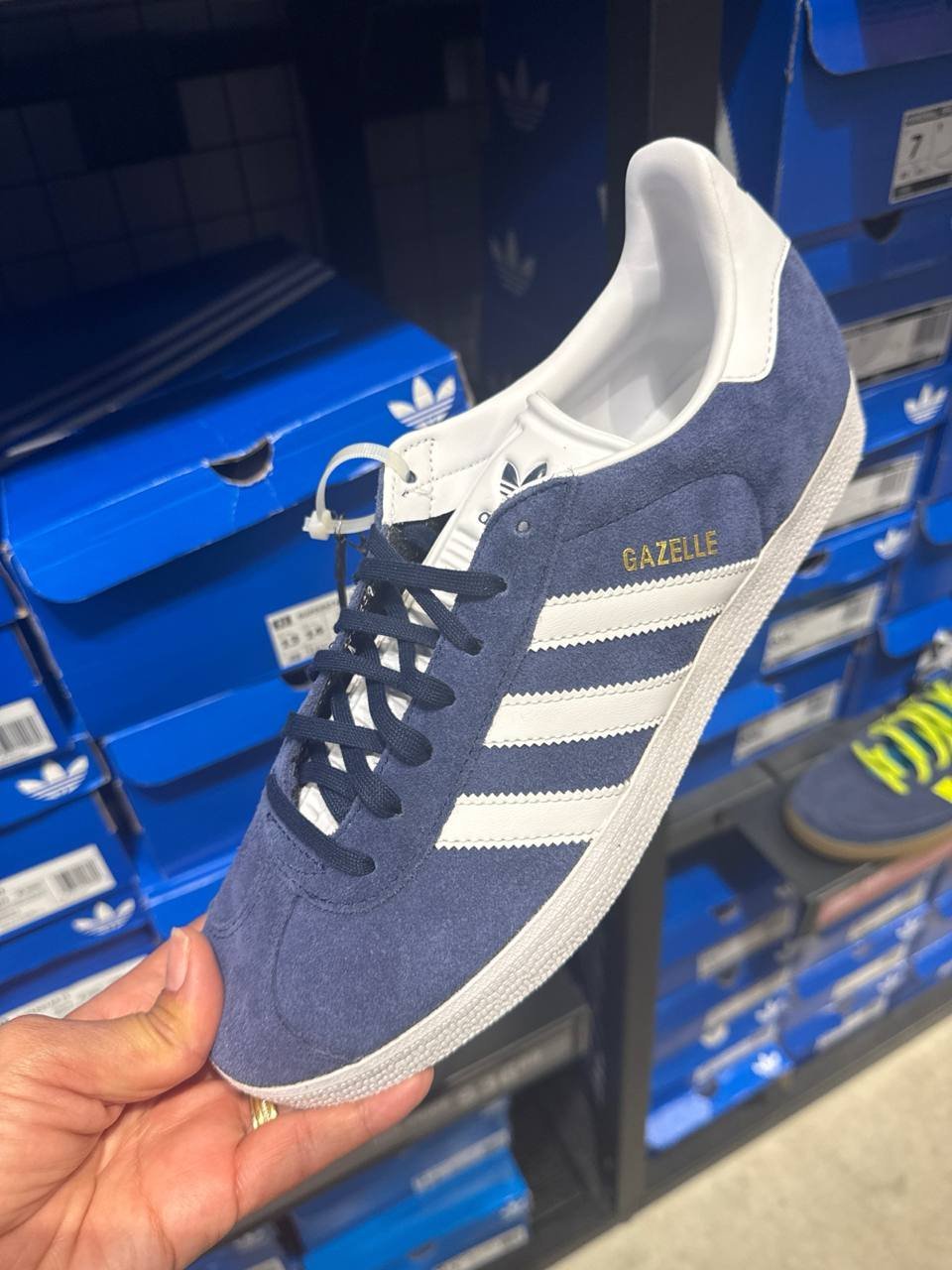 Tenis  número Americano