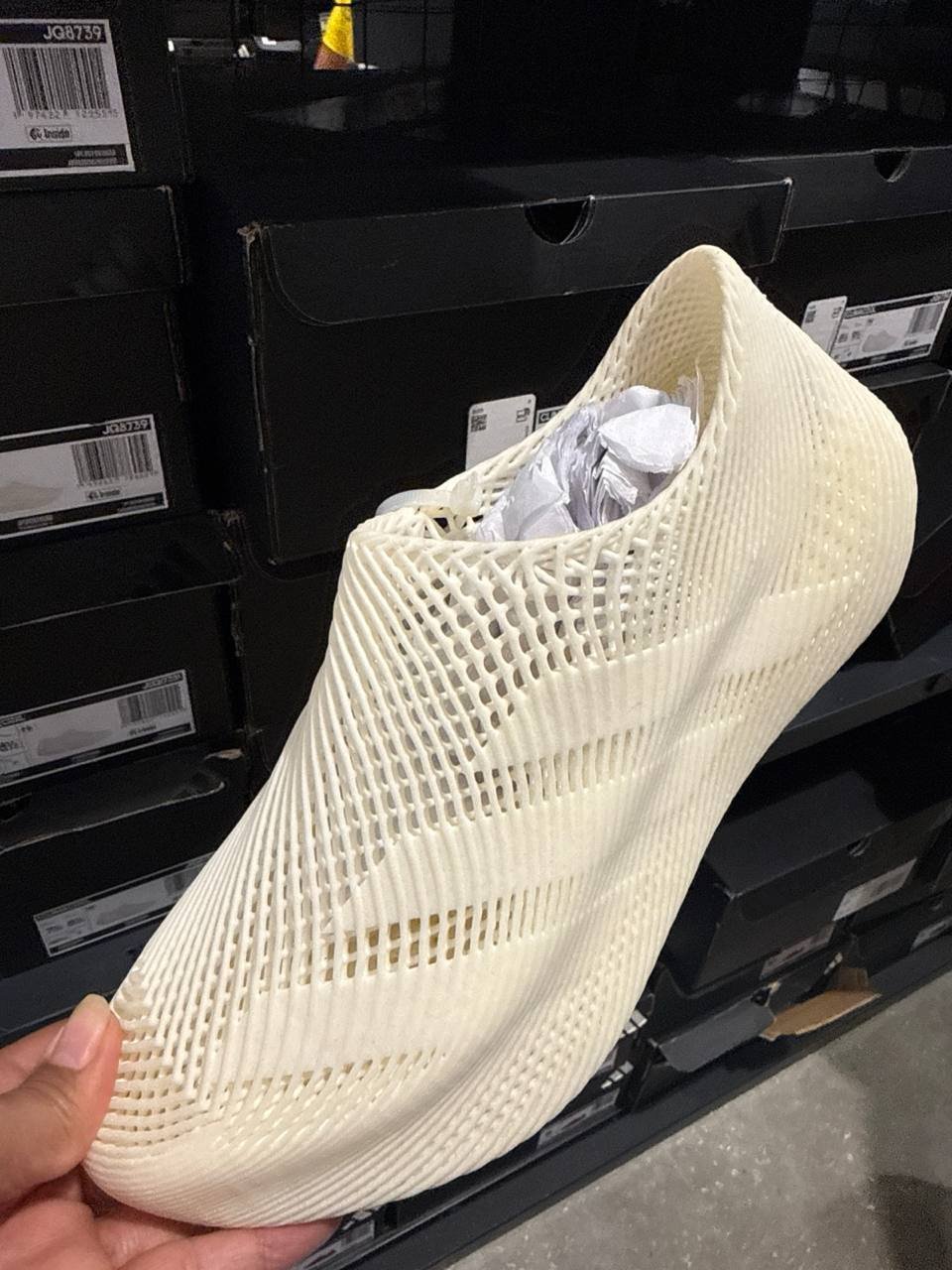Tenis  número Americano