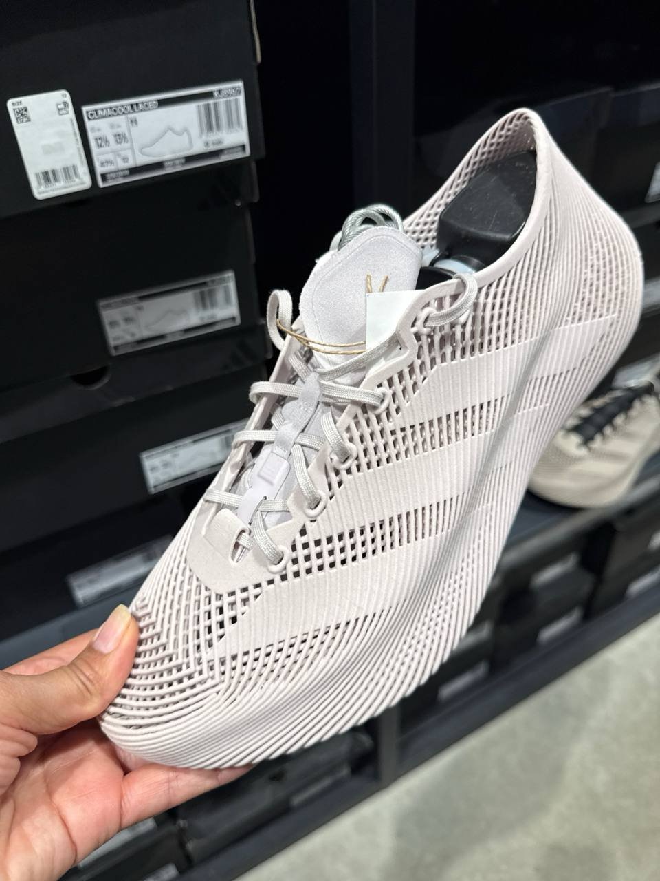 Tenis  número Americano