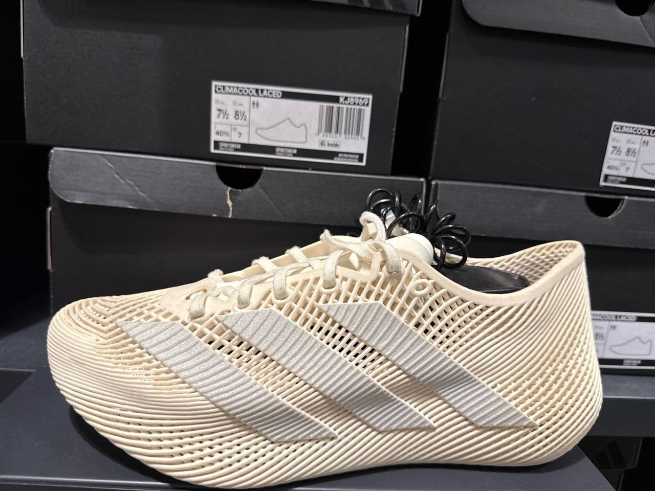 Tenis  número Americano